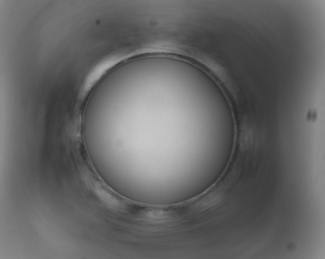 X0000112411366200908211111