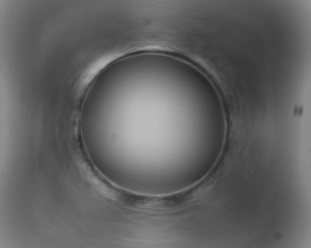 X0000112411367200908211111