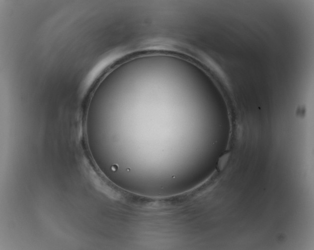 X0000112411368200908211111