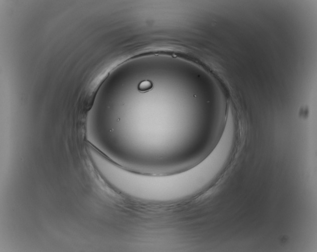 X0000112411369200908211111