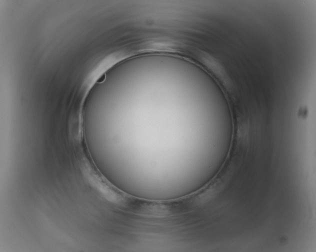 X0000112411370200908211111