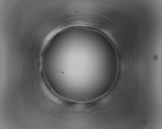 X0000112411371200908211111