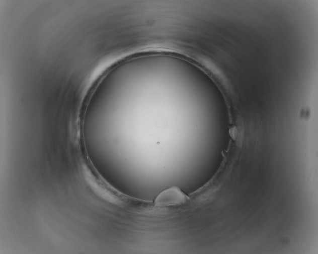 X0000112411372200908211111