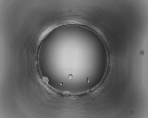 X0000112411373200908211111