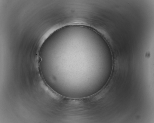 X0000112411374200908211111