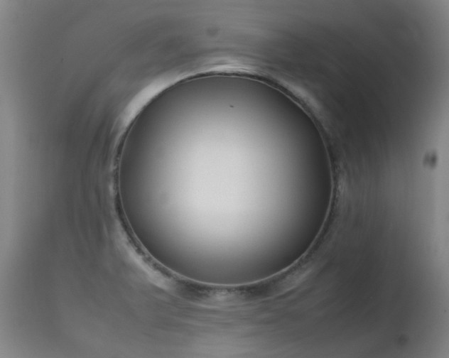 X0000112411375200908211111