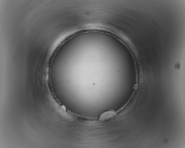 X0000112411376200908211111