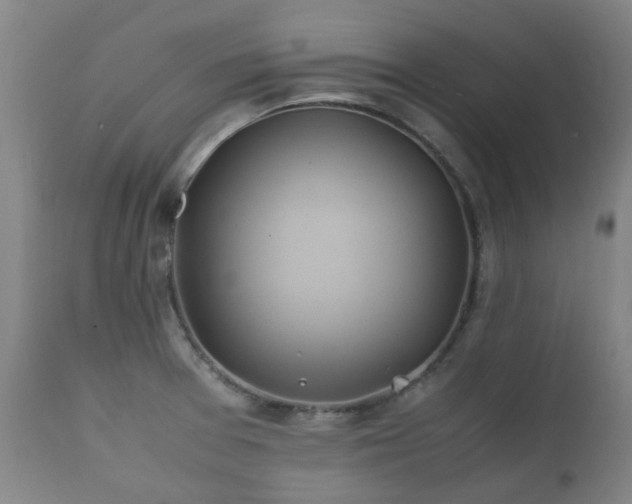 X0000112411377200908211111