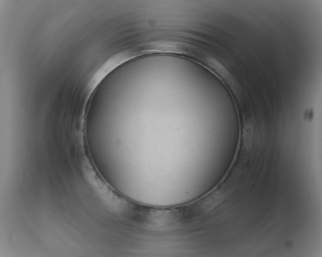 X0000112411378200908211111