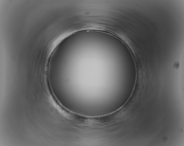 X0000112411379200908211111