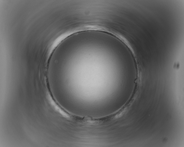 X0000112411381200908211111