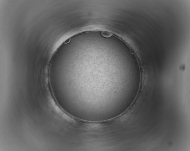 X0000112411382200908211111
