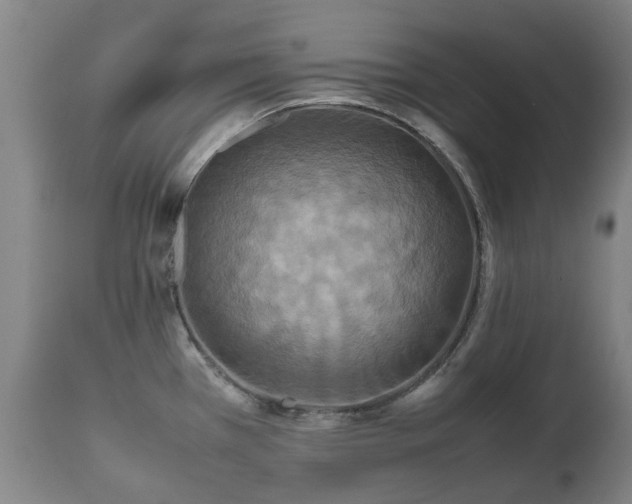 X0000112411385200908211111