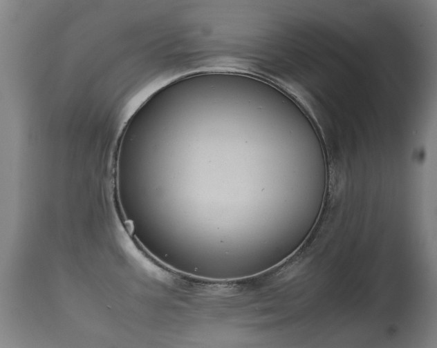 X0000112411387200908211111