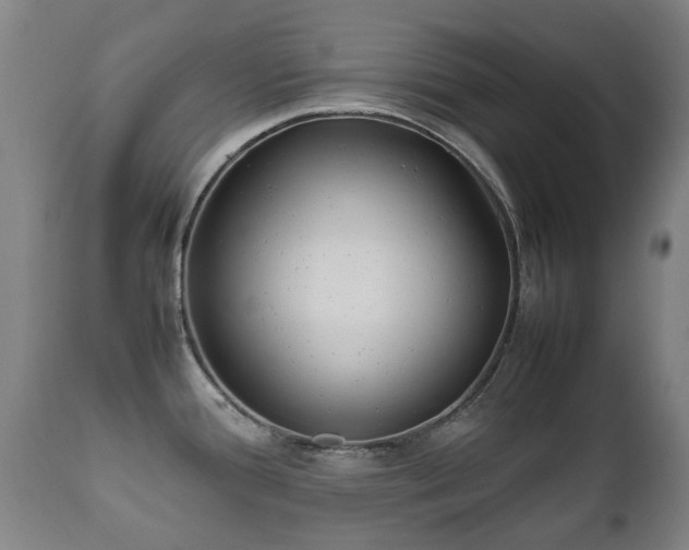 X0000112411388200908211111