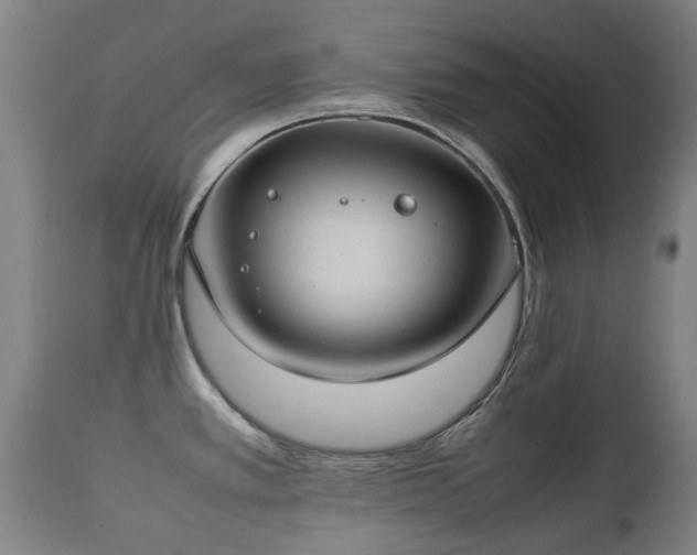 X0000112411389200908211111