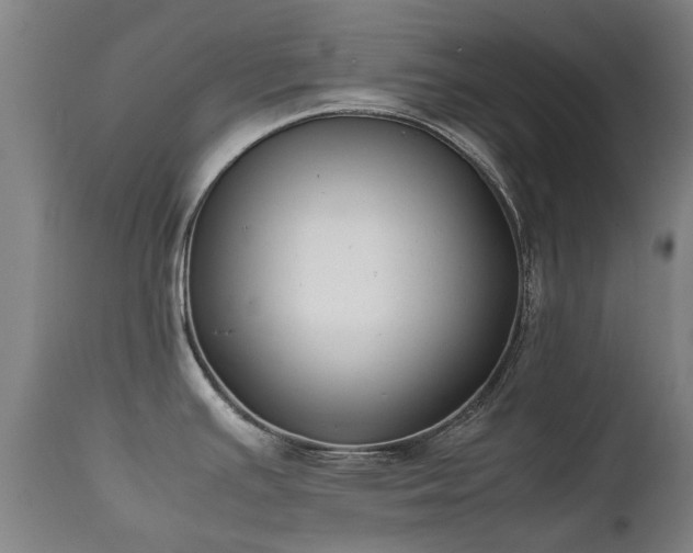 X0000112411391200908211111