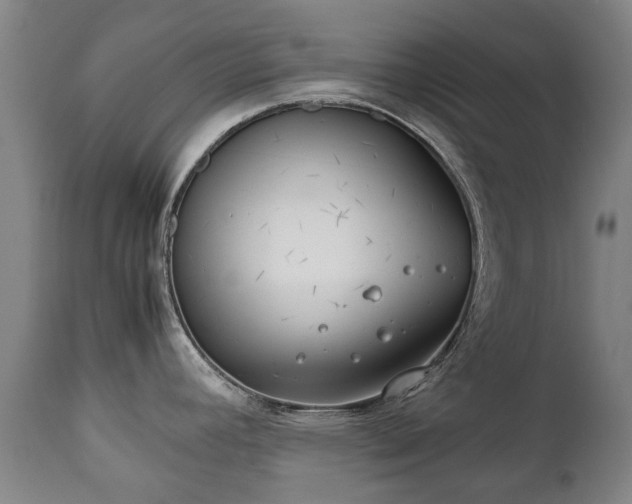 X0000112411392200908211111