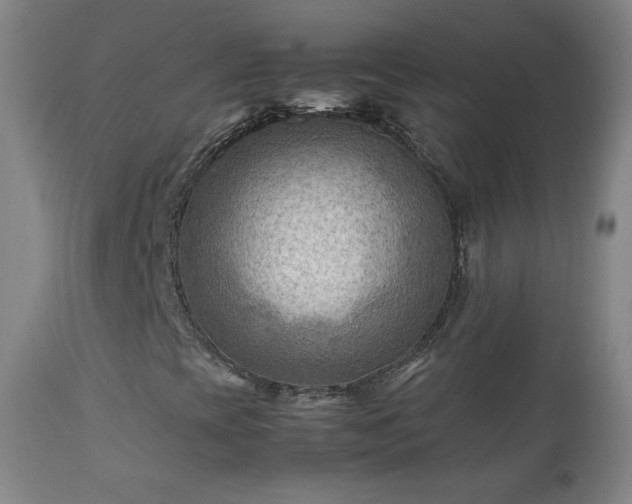 X0000112411393200908211110