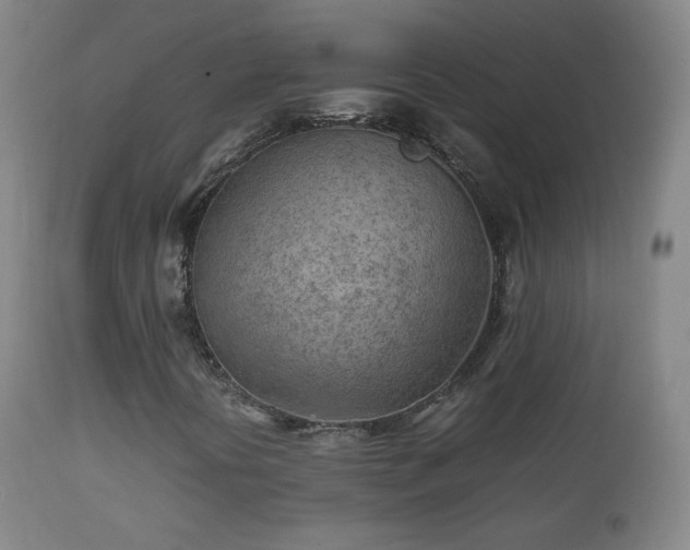 X0000112411394200908211110