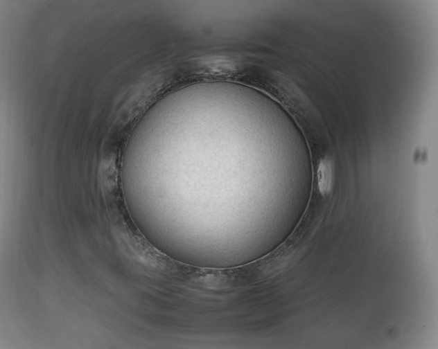 X0000112411395200908211110