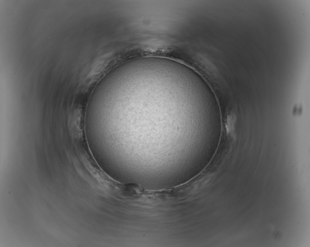 X0000112411396200908211110