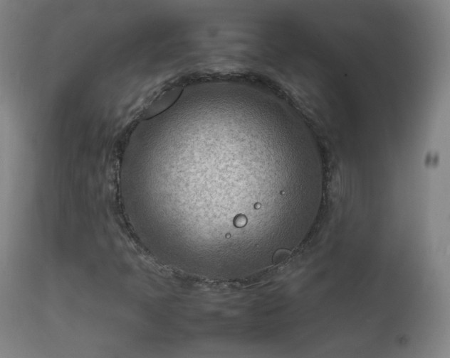 X0000112411397200908211110