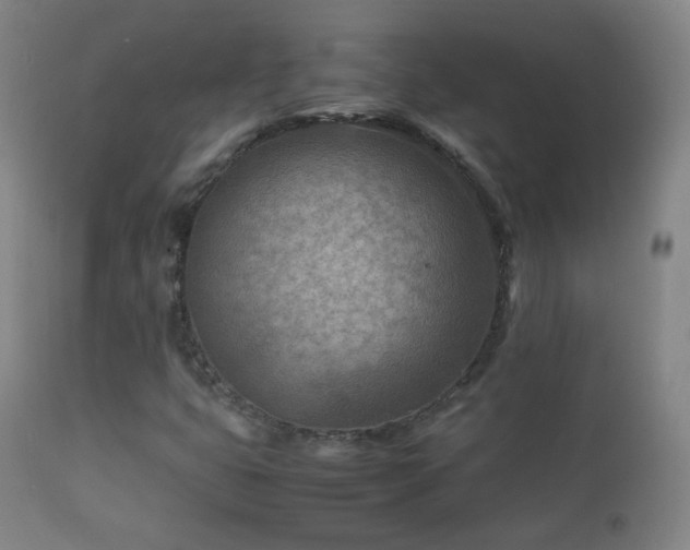 X0000112411399200908211110
