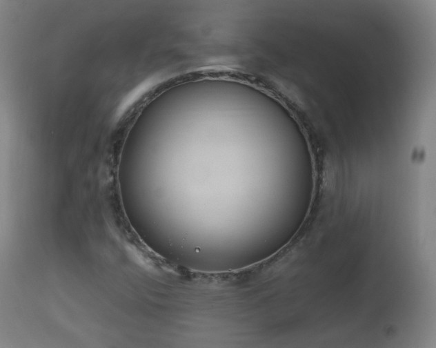 X0000112411400200908211110