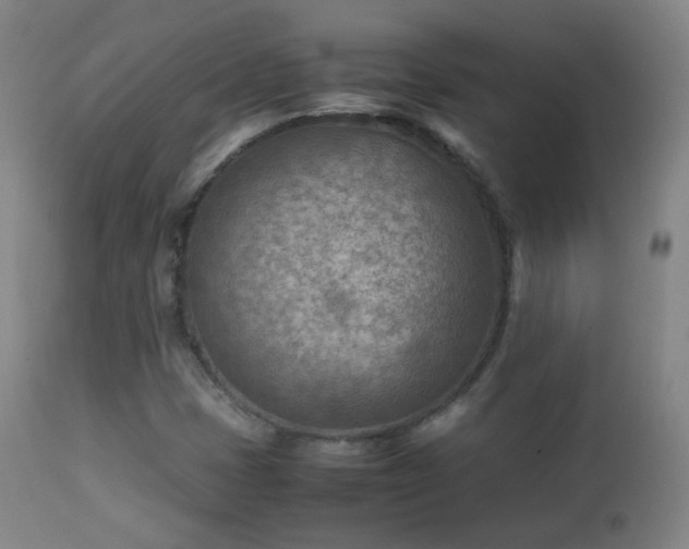 X0000112411401200908211110