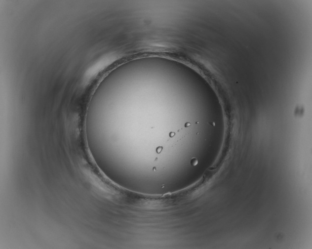 X0000112411402200908211110