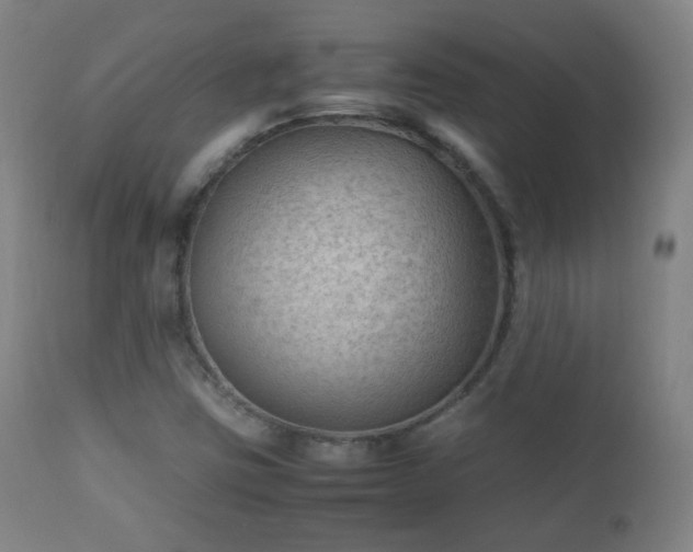 X0000112411403200908211110