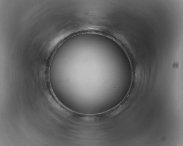 X0000112411404200908211110