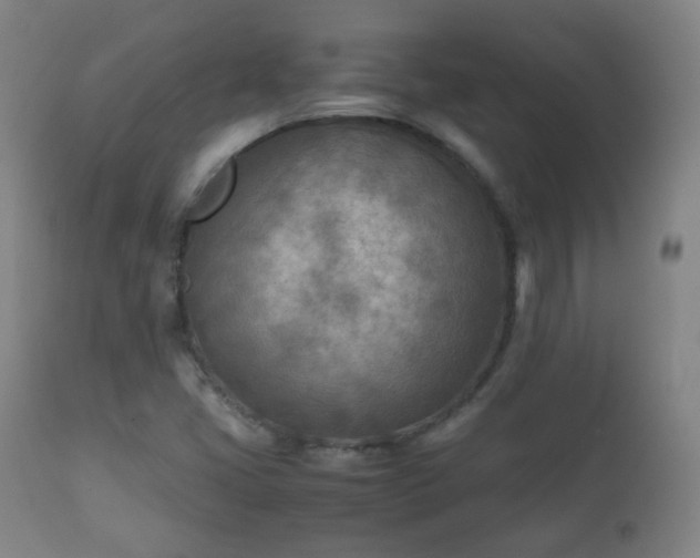 X0000112411405200908211110