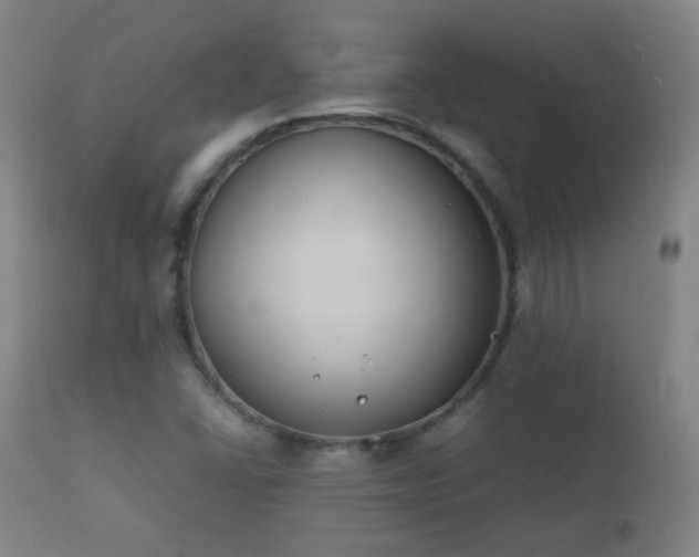X0000112411406200908211110