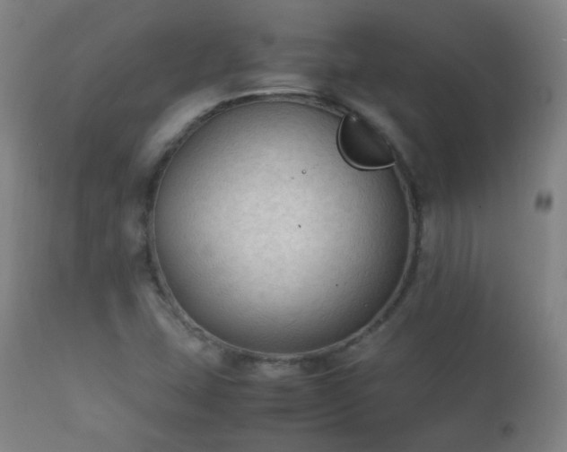 X0000112411407200908211110