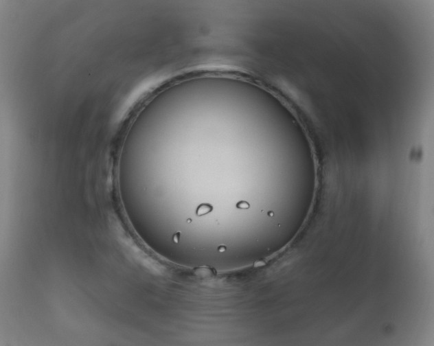 X0000112411408200908211110