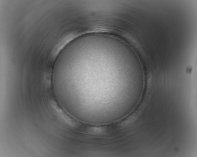 X0000112411409200908211110