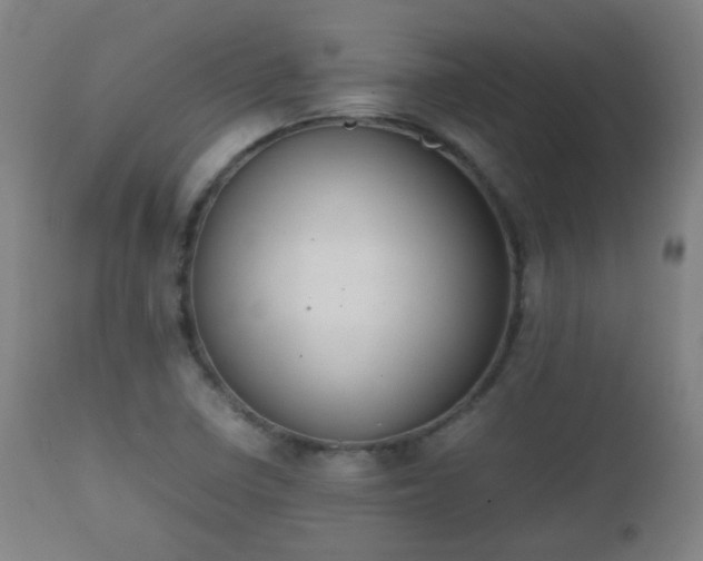 X0000112411410200908211110