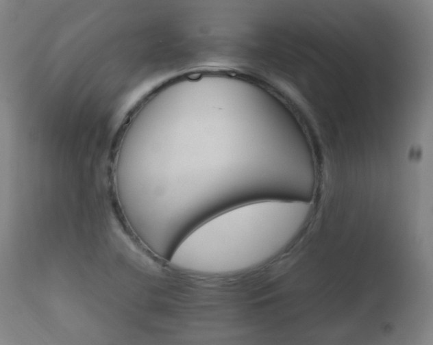 X0000112411412200908211110
