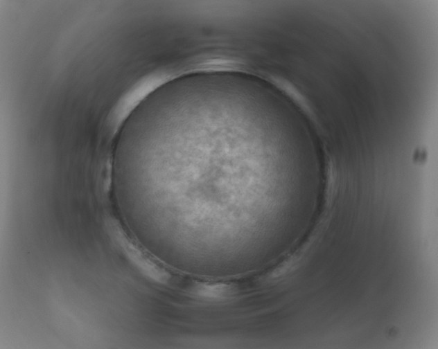 X0000112411413200908211110