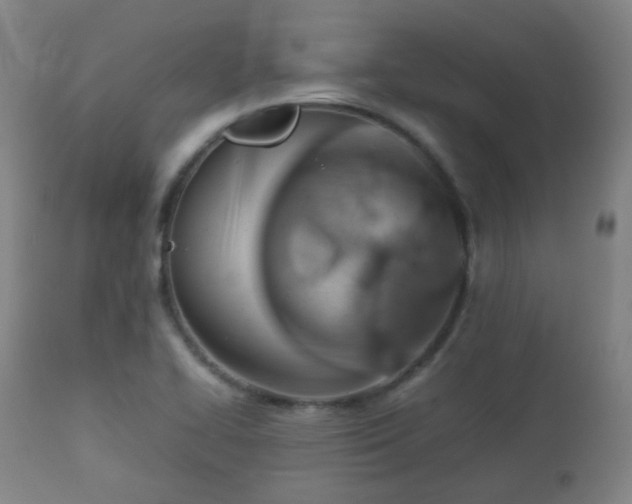 X0000112411414200908211110