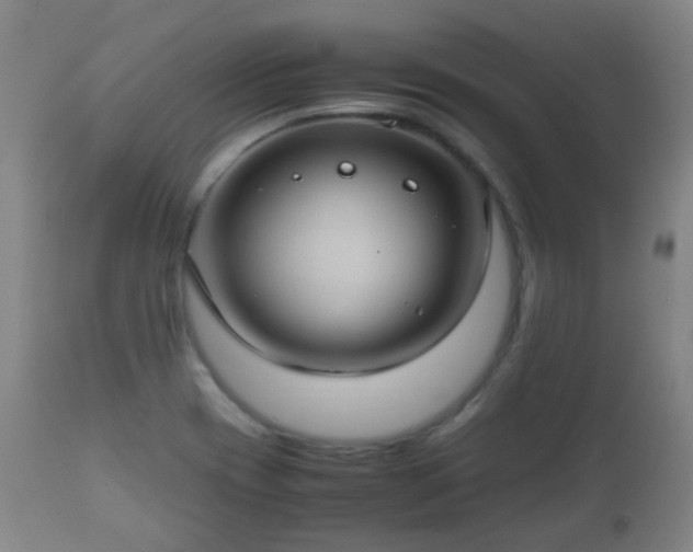 X0000112411417200908211110