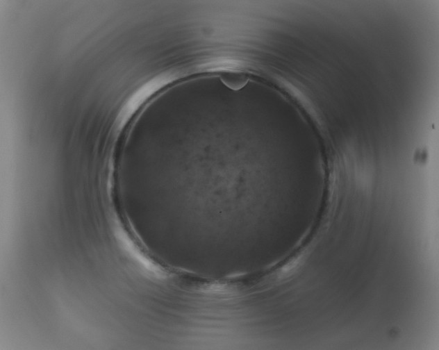 X0000112411418200908211110