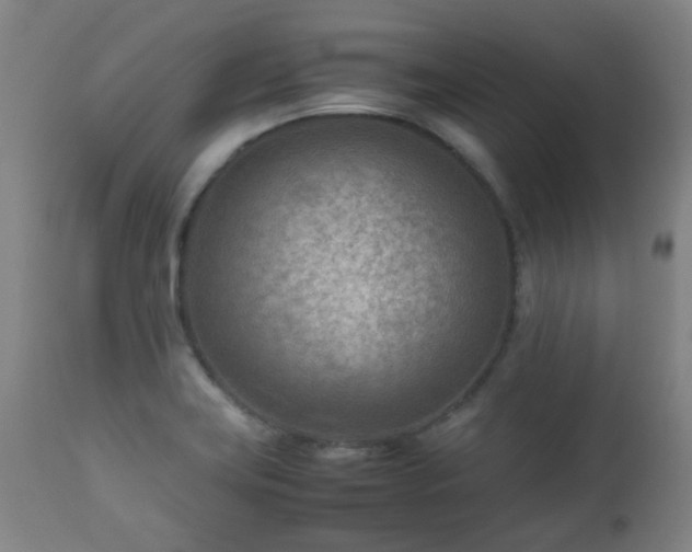 X0000112411419200908211110