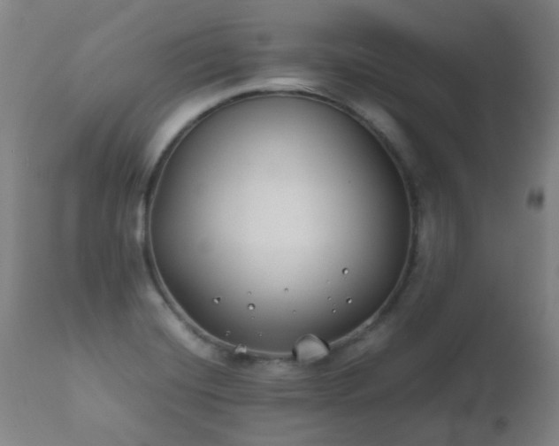 X0000112411420200908211110