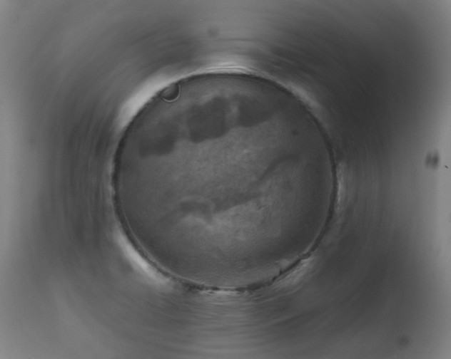 X0000112411422200908211110