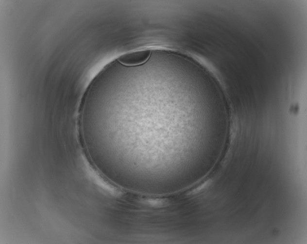 X0000112411423200908211110