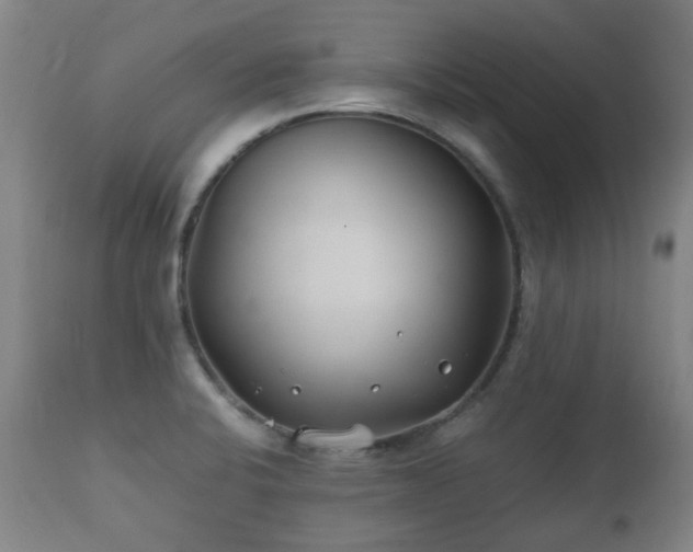 X0000112411424200908211110