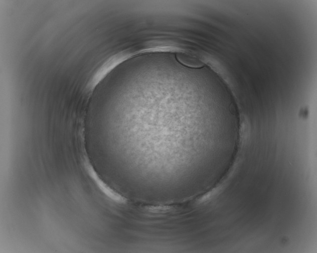 X0000112411425200908211110